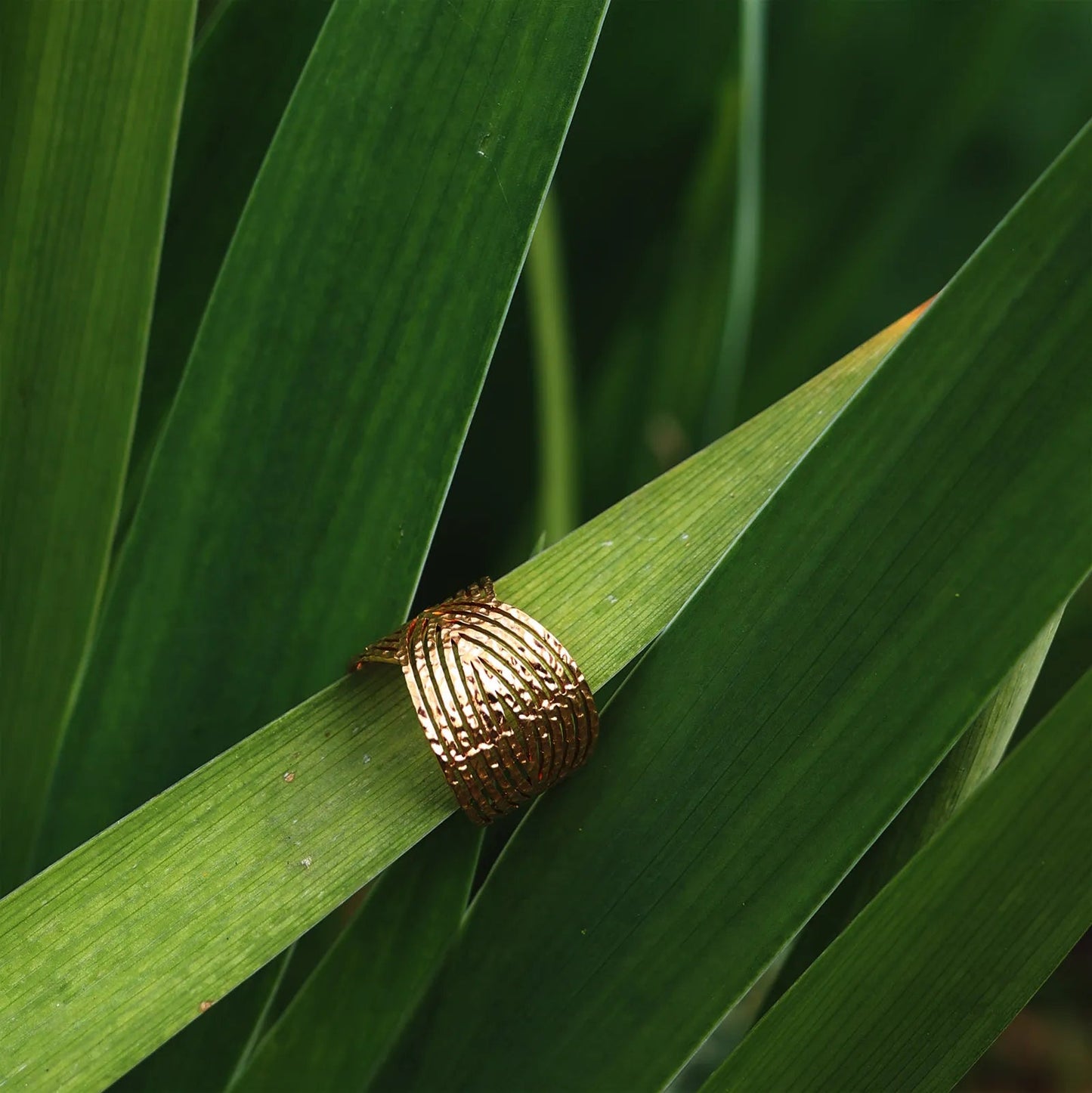 Bague Avenir ajustable, au design géométrique en acier inoxydable doré, posé sur une feuille de yuka, dans la nature