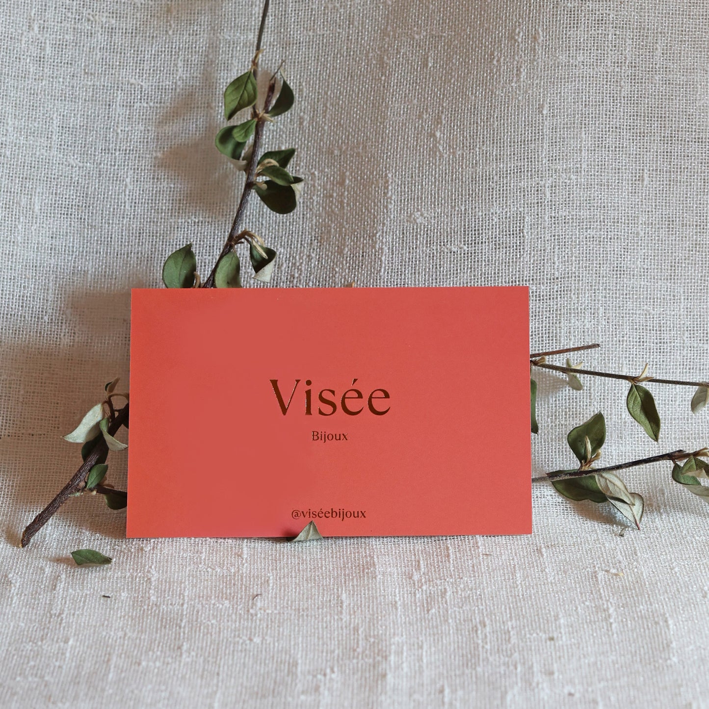 Carte cadeau Visée Bijoux, le cadeau idéal pour offrir un choix parmi une collection élégante de bijoux en ligne, parfaite pour toutes les occasions