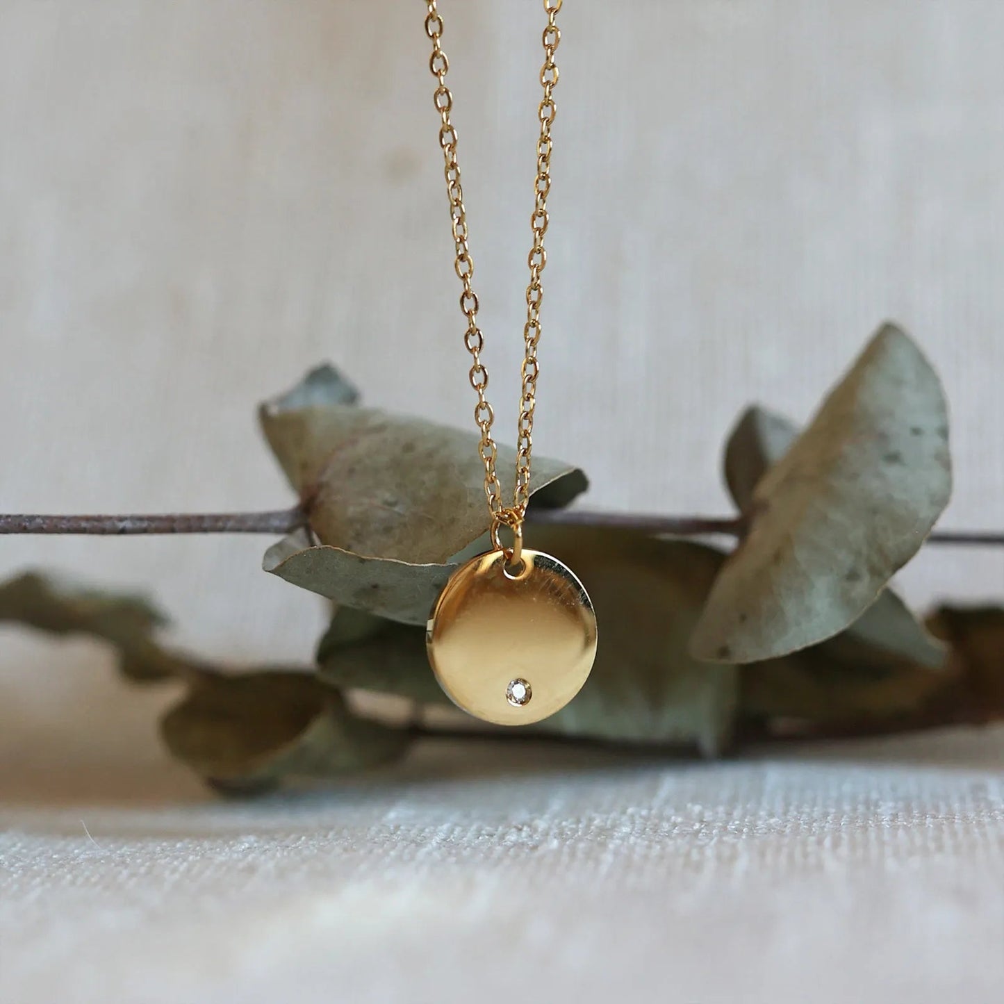 Zoom sur le collier personnalisable "Lumineuse", orné d'une médaille ronde brillante en acier doré, suspendu devant une branche.