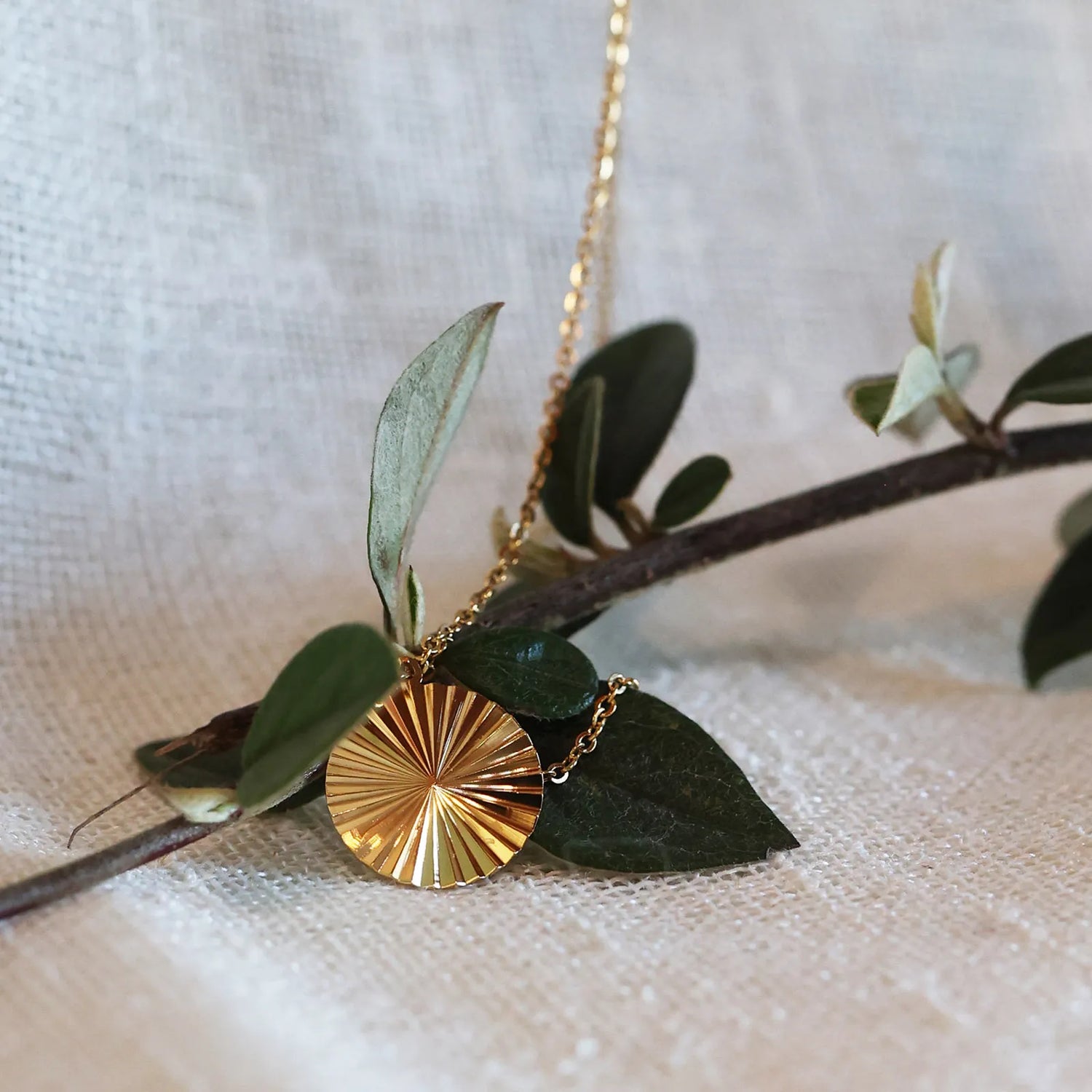 Vue de face du collier "Energie", pendentif rond strié personnalisable en acier doré, posé sur une branche de feuille. 