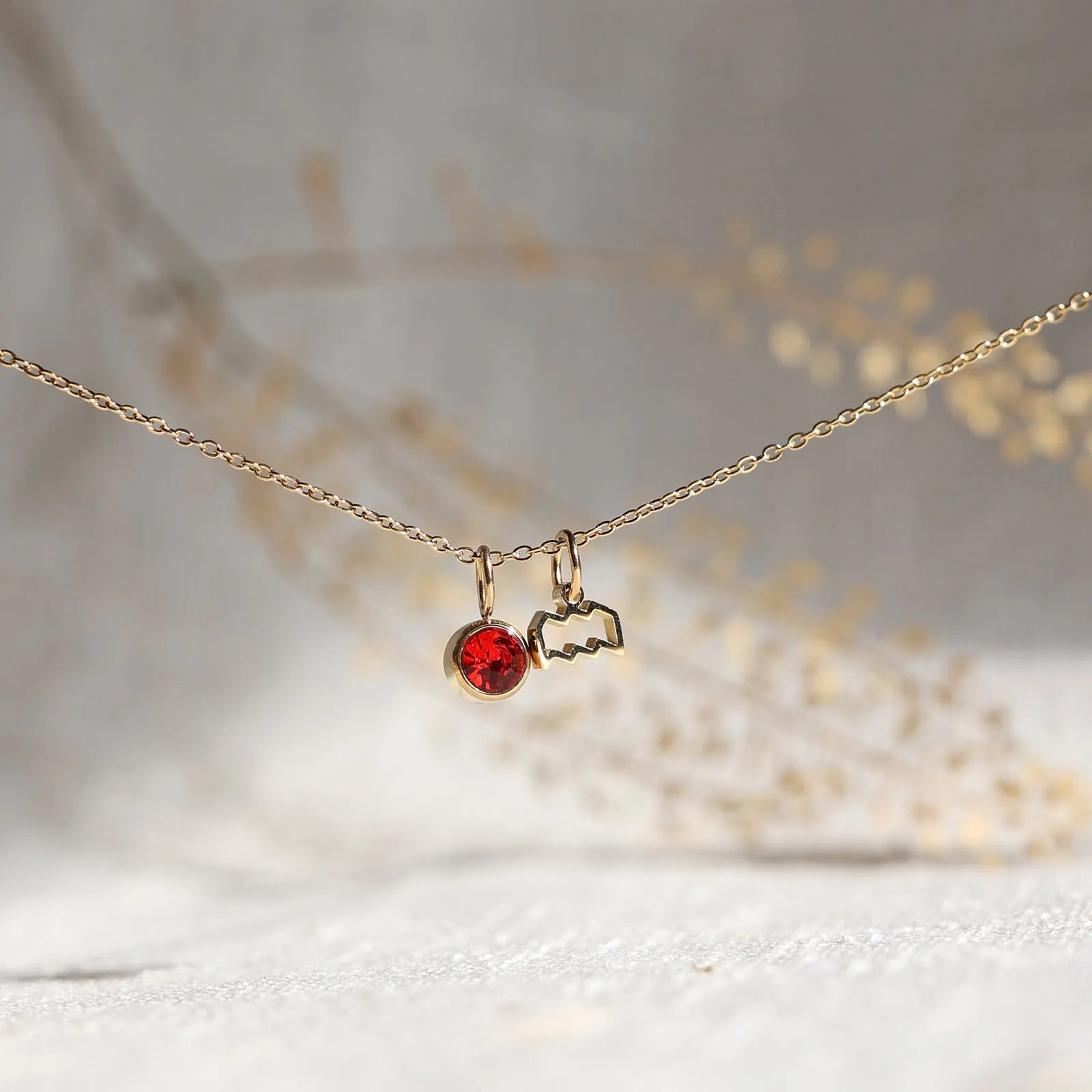 Collier "Mon identité" en acier doré, avec signe Verseau et pierre rouge, délicatement suspendu sur une chaîne fine.