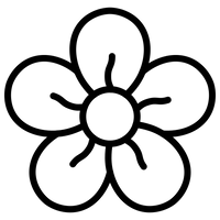 Design floral